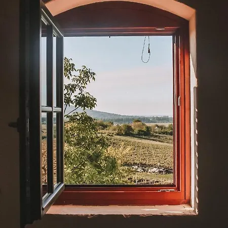 Casa de hóspedes Szászi Birtok