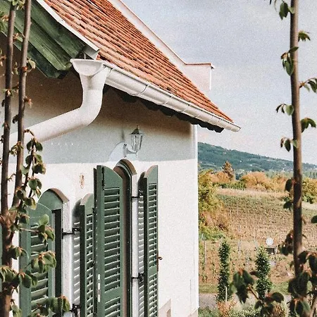 Szászi Birtok Casa de hóspedes *